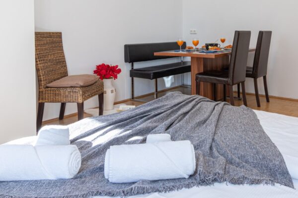 Luxury apartment in Favoriten