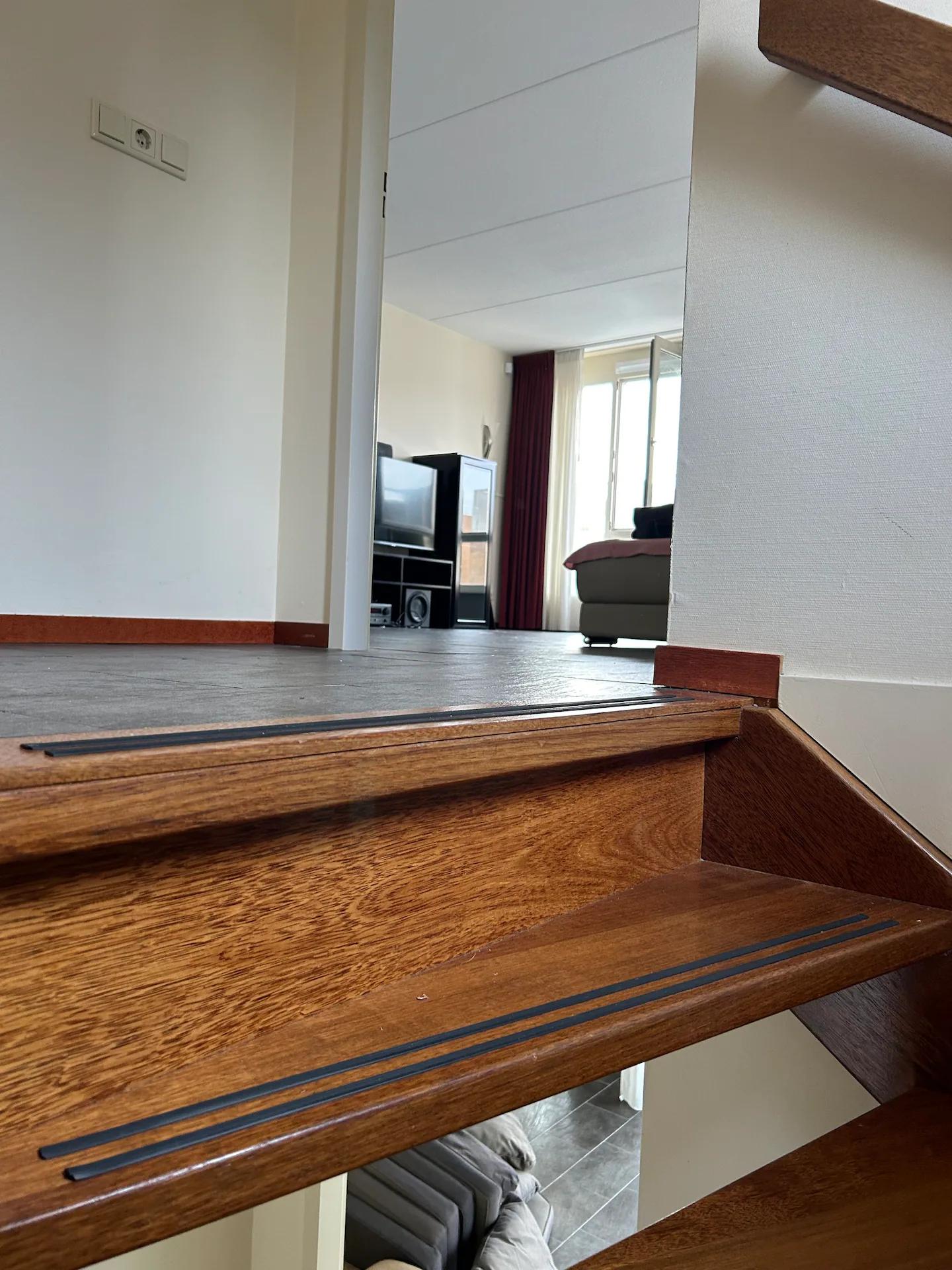 Chico House in Flevoland